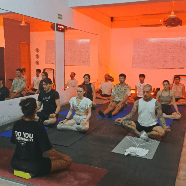 Vinyasa Yoga - Image 2